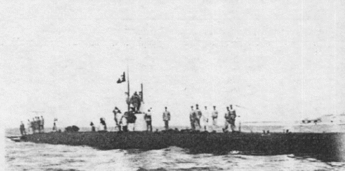 <i>Argonauta</i> 1916    