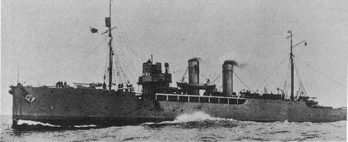 <i>Primula</i> 1916