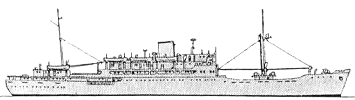 <i>Lapataia </i>1965