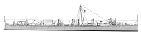 <i>Salmon</i> 1896